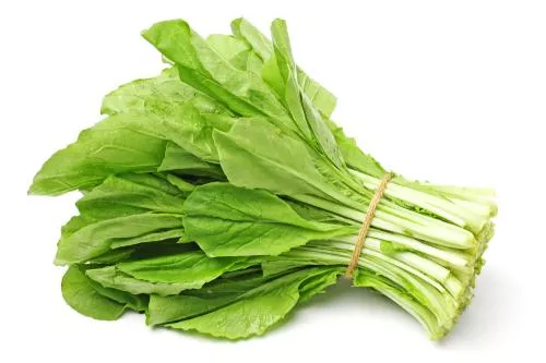 ATADO DE ACHICORIA