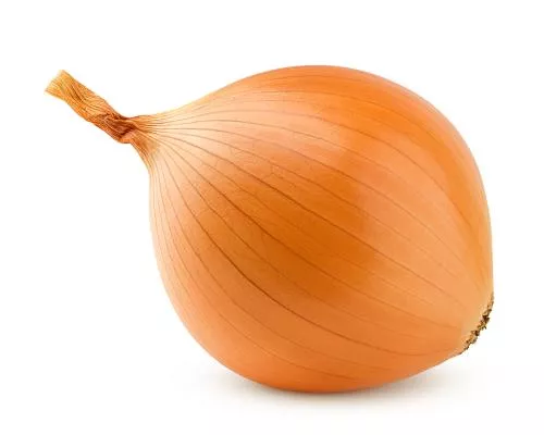 Cebolla Elegida