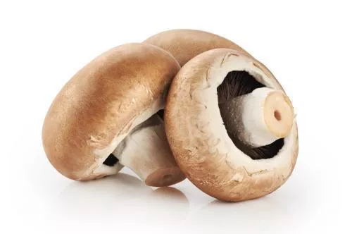 HONGOS PORTOBELLO