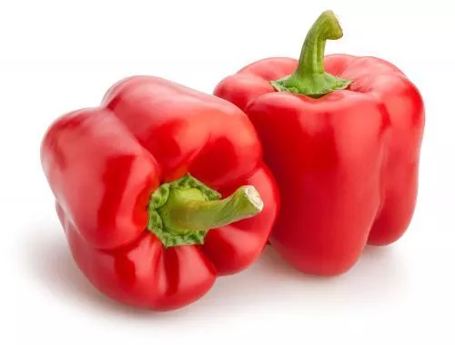 PIMIENTO ROJO
