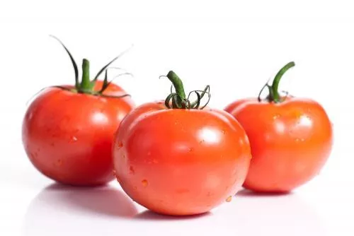 TOMATE REDONDO ELEGIDO