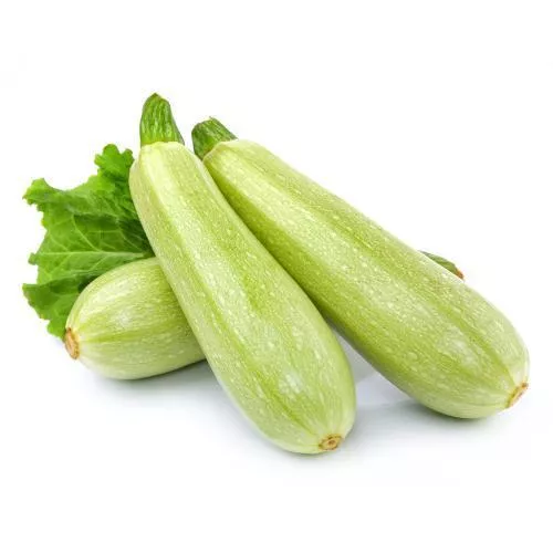 ZAPALLITO CUZA O ZUCCHINI
